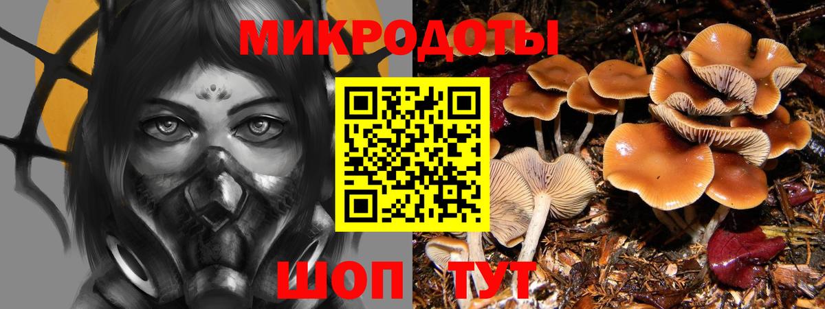 Псилоцибиновые грибы мухоморы  Вход с VPN  Железногорск 